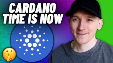 Cardano ADA: Intense Activity Now!!