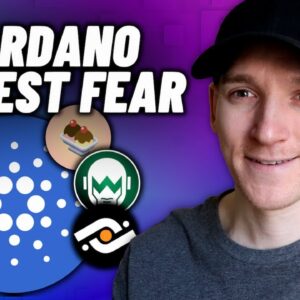 Cardano ADA: My Biggest Fear