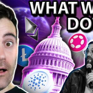 CRAZIEST Crypto Hearing EVER! Here’s What Went Down!!