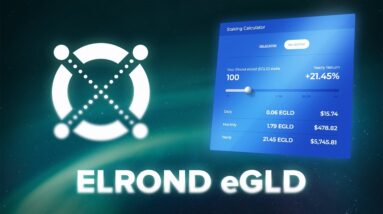 What is Elrond? eGLD Explained with Animations (Price Prediction)
