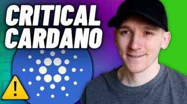 The Cardano ADA Debacle.