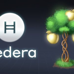 What is Hedera Hashgraph? HBAR Explained with Animations