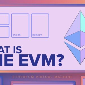 What is the EVM? Ethereum Virtual Machine - Explained with Animations