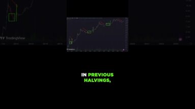 Bitcoin Halving ONE Year Countdown #shorts