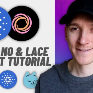 How to Use Cardano Lace Wallet (Stake ADA, Recieve, Send, Swap, Lend)