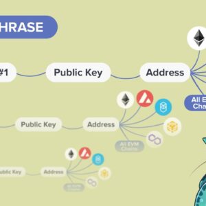 BIP39 Explained - How do Seed Phrases, Private Keys, and Addresses work?