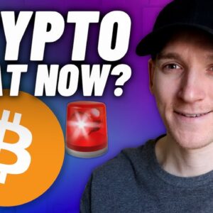 Crypto Alert: WTF is Happening Right Now!?