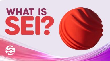 What is SEI? SEI Giga Explained with Animations