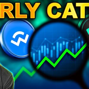 Catching 10x Token Launches: Tips To Find Winners & Dodge Losers